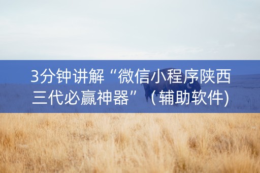 3分钟讲解“微信小程序陕西三代必赢神器”（辅助软件)
