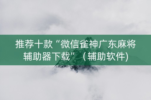 推荐十款“微信雀神广东麻将辅助器下载”（辅助软件)