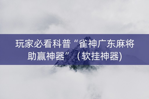 玩家必看科普“雀神广东麻将助赢神器”（软挂神器)