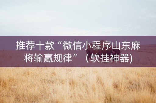 推荐十款“微信小程序山东麻将输赢规律”（软挂神器)