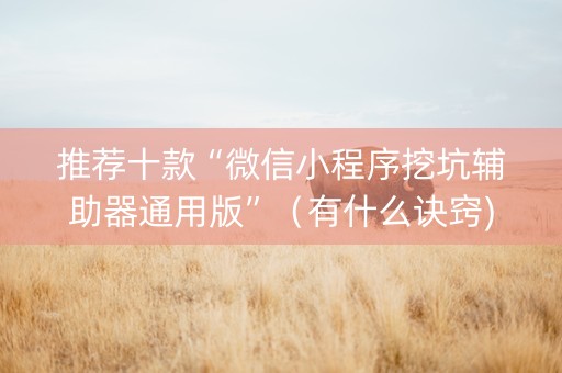 推荐十款“微信小程序挖坑辅助器通用版”（有什么诀窍)