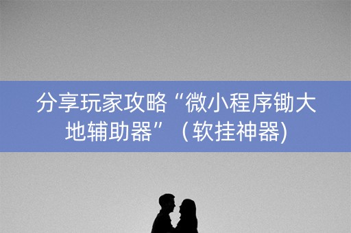 分享玩家攻略“微小程序锄大地辅助器”（软挂神器)
