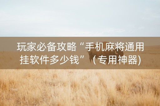 玩家必备攻略“手机麻将通用挂软件多少钱”（专用神器)