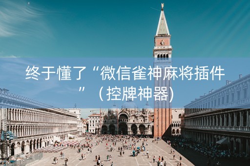 终于懂了“微信雀神麻将插件”（控牌神器)