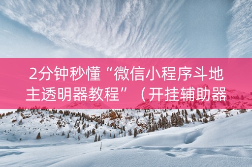 2分钟秒懂“微信小程序斗地主透明器教程”（开挂辅助器脚本)