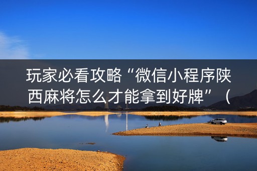 玩家必看攻略“微信小程序陕西麻将怎么才能拿到好牌”（开挂辅助插件)