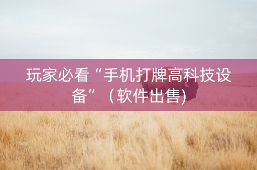 玩家必看“手机打牌高科技设备”（软件出售)