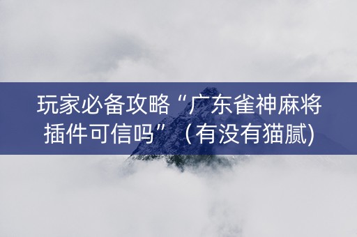 玩家必备攻略“广东雀神麻将插件可信吗”（有没有猫腻)