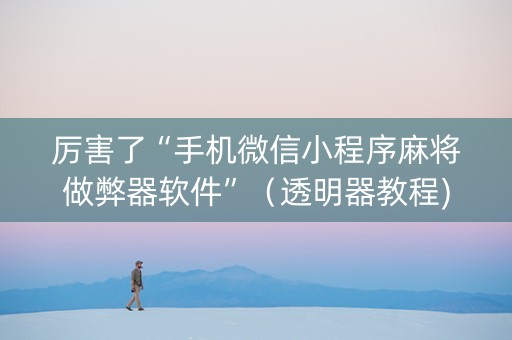 厉害了“手机微信小程序麻将做弊器软件”（透明器教程)
