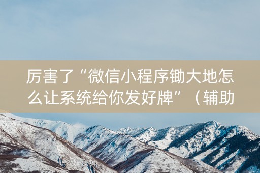 厉害了“微信小程序锄大地怎么让系统给你发好牌”（辅助器通用版)
