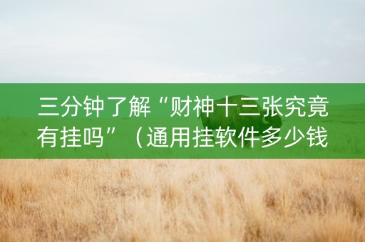 三分钟了解“财神十三张究竟有挂吗”（通用挂软件多少钱)