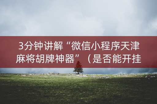 3分钟讲解“微信小程序天津麻将胡牌神器”（是否能开挂)