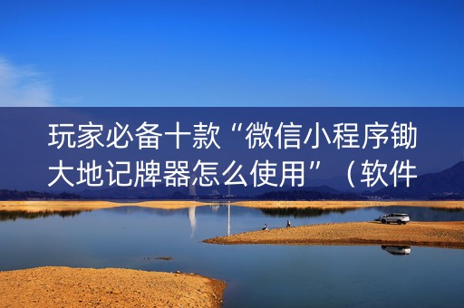 玩家必备十款“微信小程序锄大地记牌器怎么使用”（软件出售)