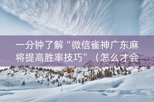 一分钟了解“微信雀神广东麻将提高胜率技巧”（怎么才会赢)