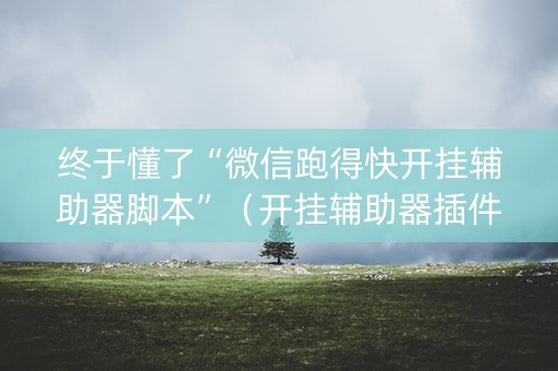 终于懂了“微信跑得快开挂辅助器脚本”（开挂辅助器插件)
