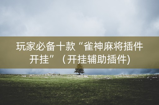 玩家必备十款“雀神麻将插件开挂”（开挂辅助插件)