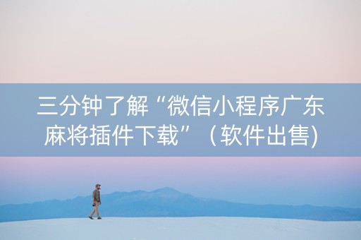 三分钟了解“微信小程序广东麻将插件下载”（软件出售)