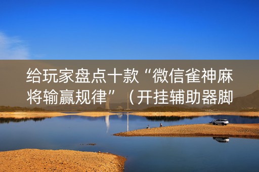 给玩家盘点十款“微信雀神麻将输赢规律”（开挂辅助器脚本)