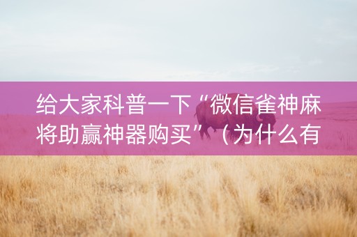 给大家科普一下“微信雀神麻将助赢神器购买”（为什么有人一直赢)