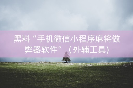黑料“手机微信小程序麻将做弊器软件”（外辅工具)
