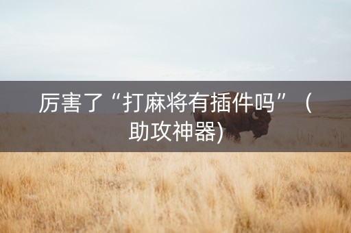 厉害了“打麻将有插件吗”（助攻神器)