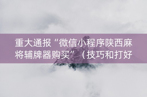 重大通报“微信小程序陕西麻将辅牌器购买”（技巧和打好牌方法)