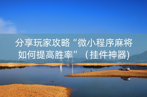 分享玩家攻略“微小程序麻将如何提高胜率”（挂件神器)