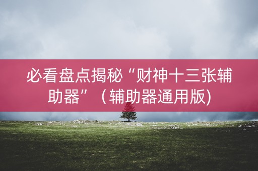 必看盘点揭秘“财神十三张辅助器”（辅助器通用版)