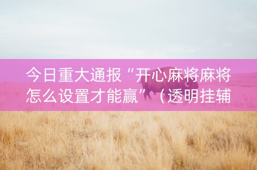 今日重大通报“开心麻将麻将怎么设置才能赢”（透明挂辅助器)