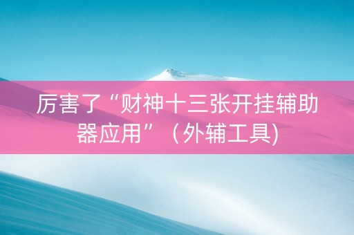厉害了“财神十三张开挂辅助器应用”（外辅工具)