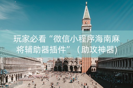 玩家必看“微信小程序海南麻将辅助器插件”（助攻神器)