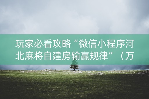 玩家必看攻略“微信小程序河北麻将自建房输赢规律”（万能开挂器)