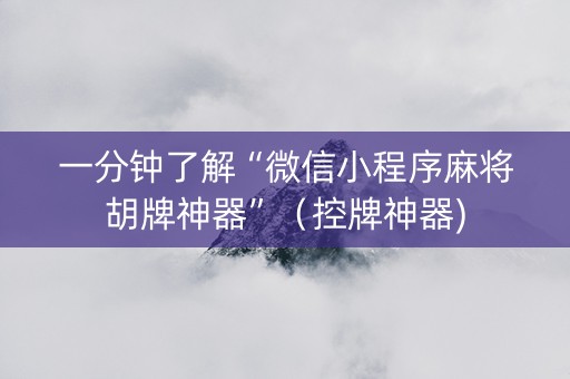 一分钟了解“微信小程序麻将胡牌神器”（控牌神器)