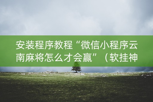 安装程序教程“微信小程序云南麻将怎么才会赢”（软挂神器)