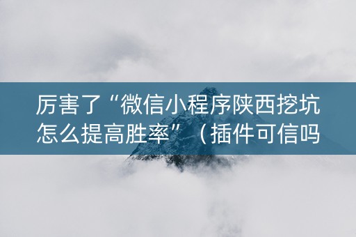 厉害了“微信小程序陕西挖坑怎么提高胜率”（插件可信吗)