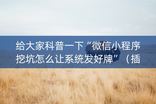 给大家科普一下“微信小程序挖坑怎么让系统发好牌”（插件开挂免费AI)