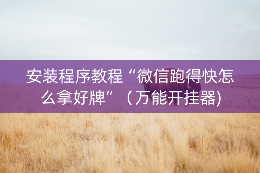 安装程序教程“微信跑得快怎么拿好牌”（万能开挂器)