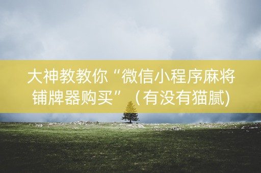 大神教教你“微信小程序麻将铺牌器购买”（有没有猫腻)