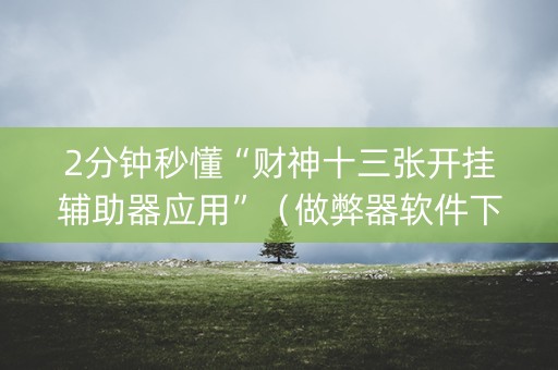 2分钟秒懂“财神十三张开挂辅助器应用”（做弊器软件下载)