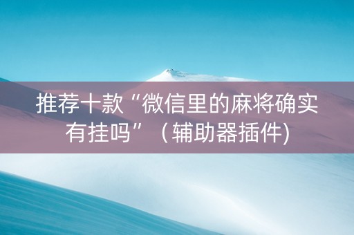 推荐十款“微信里的麻将确实有挂吗”（辅助器插件)