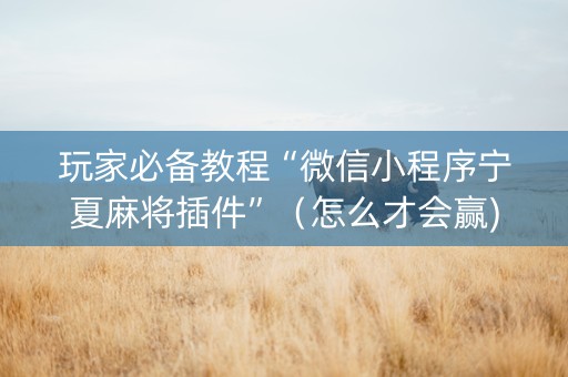 玩家必备教程“微信小程序宁夏麻将插件”（怎么才会赢)