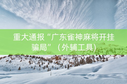 重大通报“广东雀神麻将开挂骗局”（外辅工具)