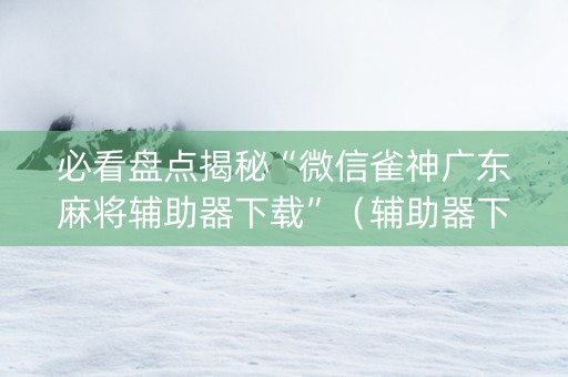 必看盘点揭秘“微信雀神广东麻将辅助器下载”（辅助器下载)