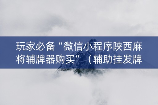 玩家必备“微信小程序陕西麻将辅牌器购买”（辅助挂发牌规律)