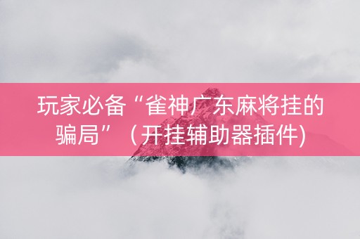 玩家必备“雀神广东麻将挂的骗局”（开挂辅助器插件)
