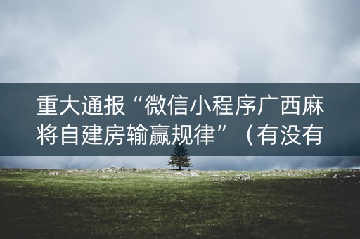 重大通报“微信小程序广西麻将自建房输赢规律”（有没有猫腻)