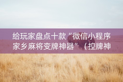 给玩家盘点十款“微信小程序家乡麻将变牌神器”（控牌神器)