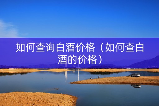 如何查询白酒价格（如何查白酒的价格）