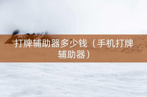 打牌辅助器多少钱（手机打牌辅助器）