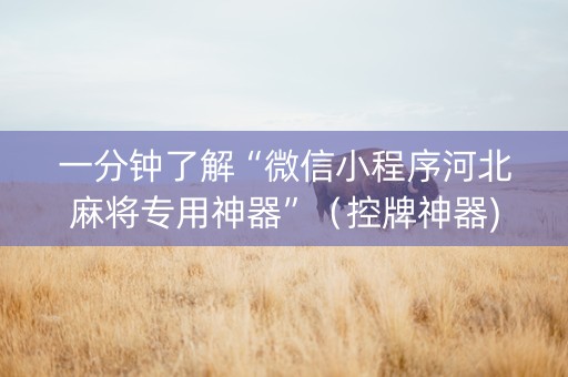 一分钟了解“微信小程序河北麻将专用神器”（控牌神器)